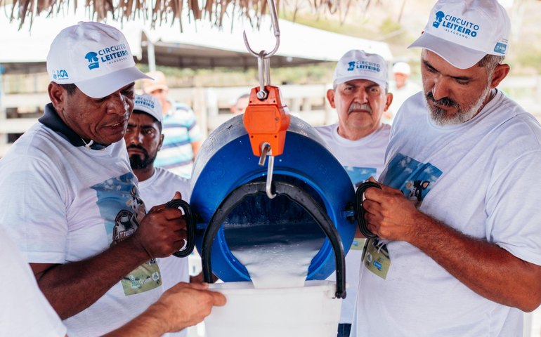 Circuito Leiteiro Alagoano: uma grande vitrine do rebanho de agricultores familiares este ano