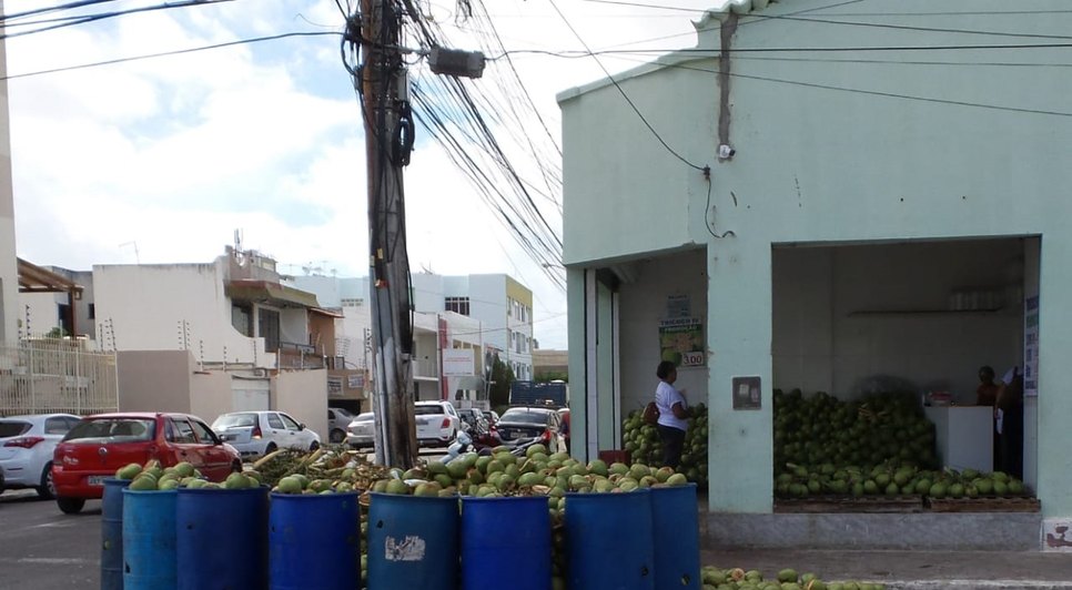 FISCALIZAÇÃO ÁGUA DE COCO VIGILÂNCIA SANITÁRIA