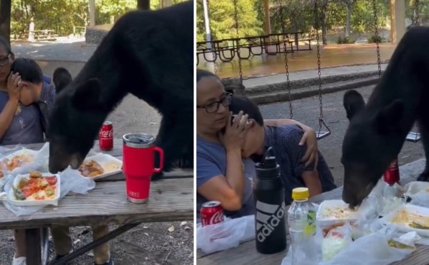 Urso invade piquenique no México e come comida de mãe e filho