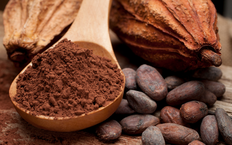 Cacau tem inúmeros benefícios para a saúde
