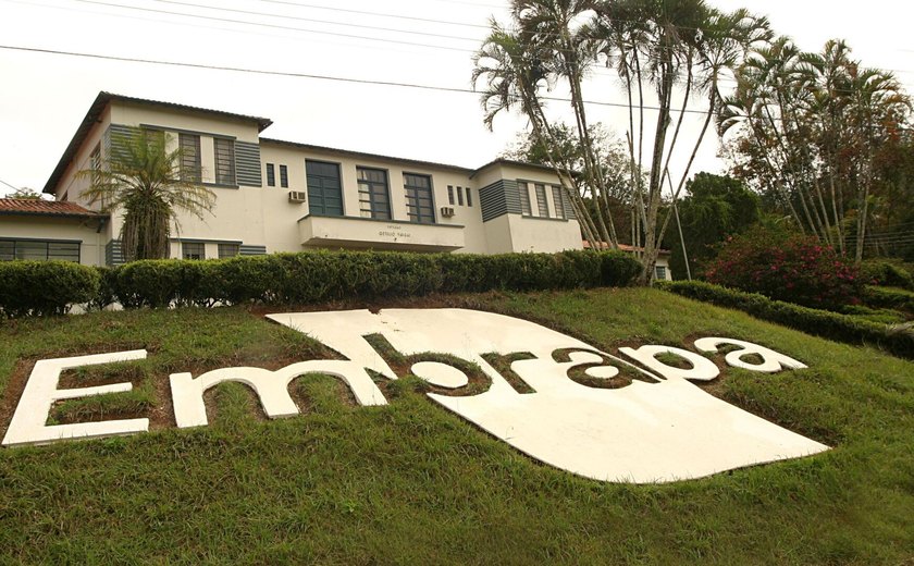Sucesso nacional da agropecuária, Embrapa está com rombos no orçamento; entenda o porquê