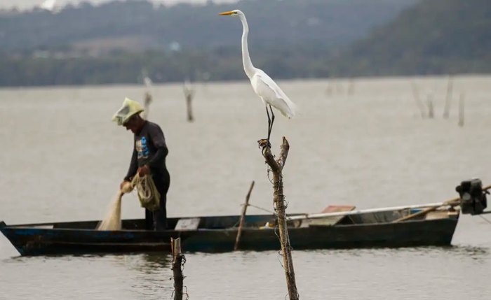 Mudanças aprovadas para o seguro-defeso previnem fraudes, diz relator
