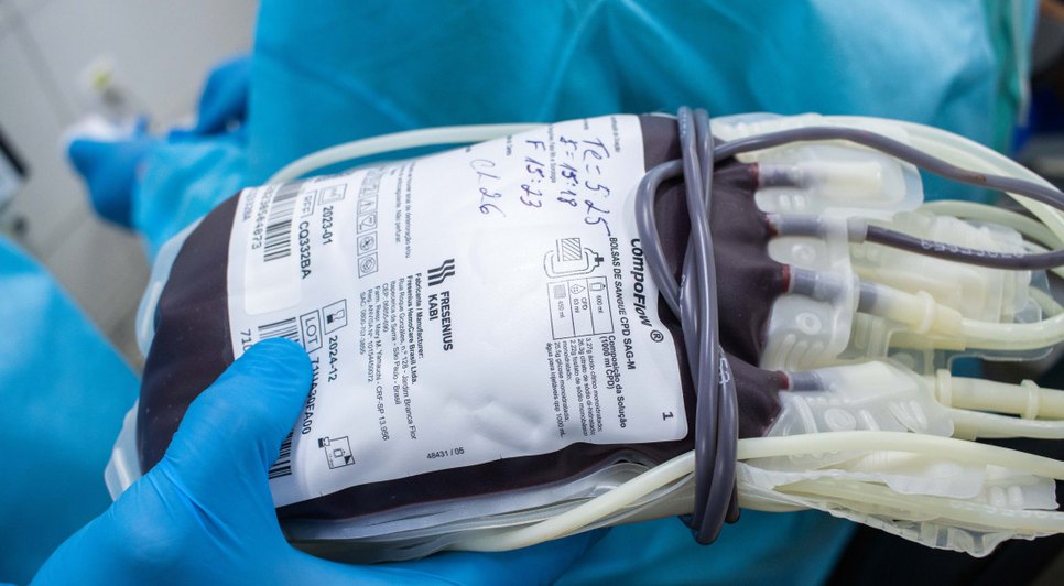 Hemose divulga calendário de atendimento para doação de sangue aos sábados / Foto: Foto: Arthuro Paganini