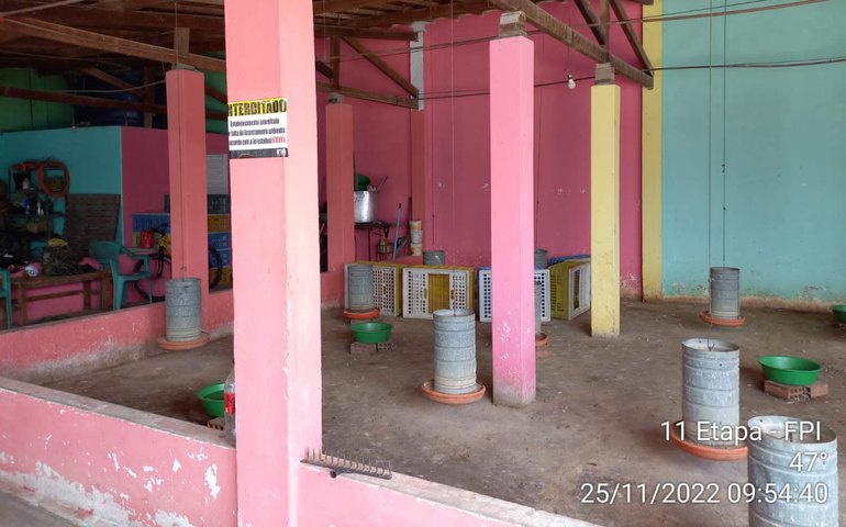 FPI: Avícola é interditada por acondicionamento irregular em Delmiro Gouveia