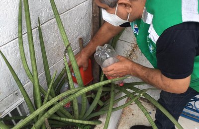 Incidência de casos de dengue aumenta e Saúde alerta população para a prevenção
