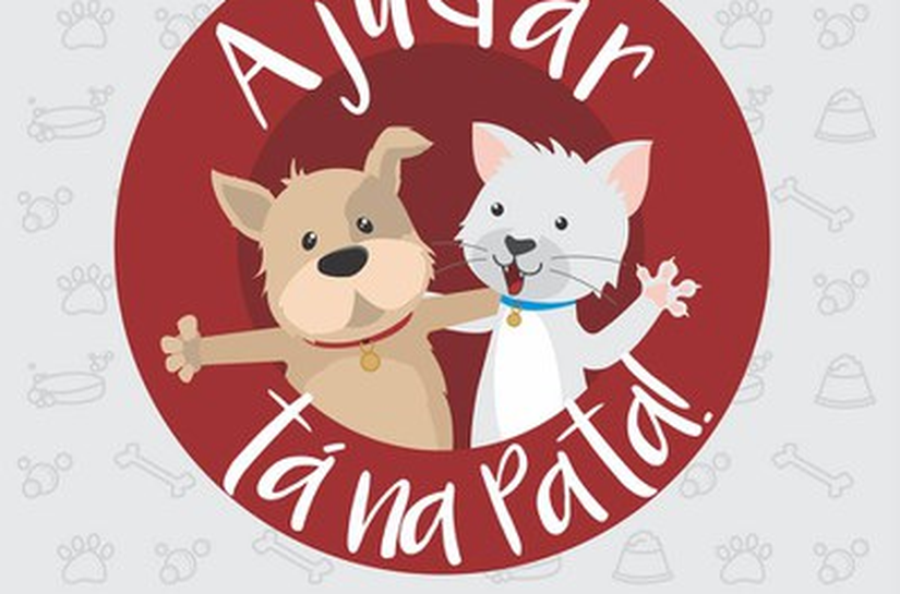 Palato terá ponto de doações para ajudar animais abandonados