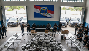 Polícia Civil amplia apreensões de drogas e registra avanço no combate ao tráfico em 2025