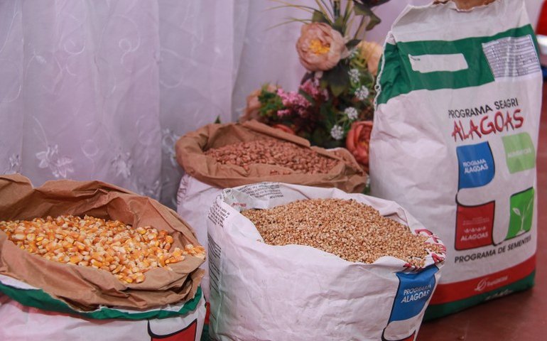 Agricultores recebem 7 mil quilos de sementes em Delmiro Gouveia