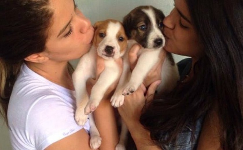 Arapiraca recebe 2ª Feira de Adoção de Animais neste sábado