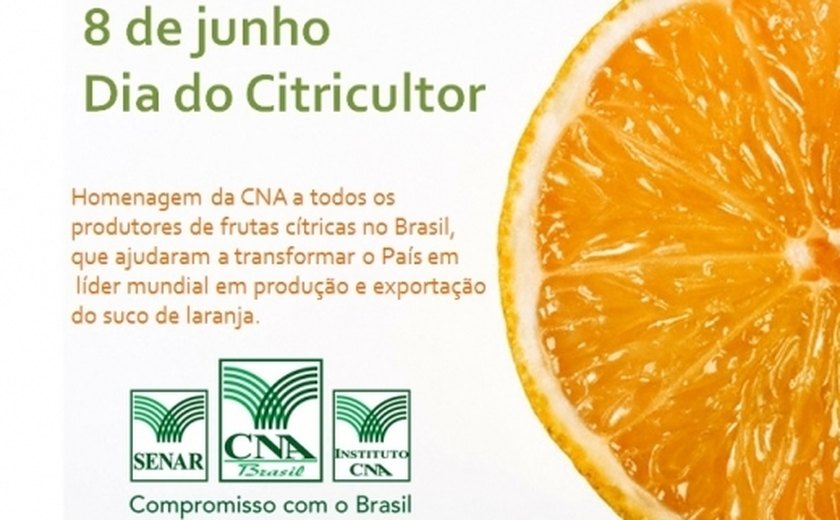 Brasil exportou, de janeiro a maio de 2015, quase um bilhão de dólares em suco de laranja