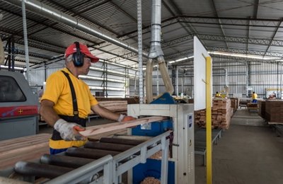 Governo estima que mais de 30 empresas se instalem em Alagoas em dois anos