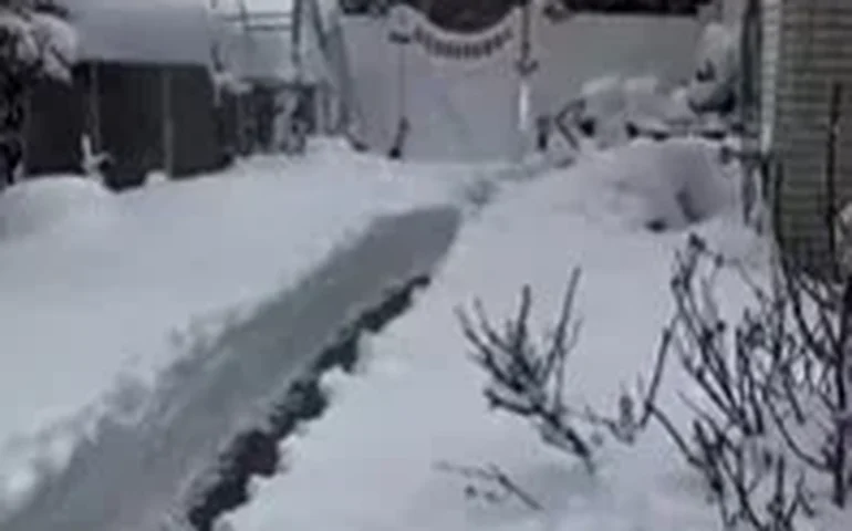 Dono cria impressionante sistema de túneis para cães na neve de Long Island.