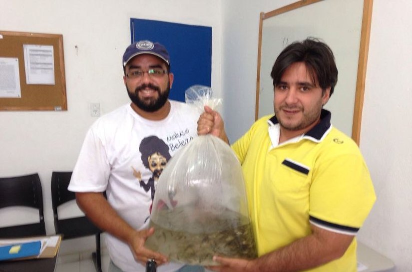 Agricultura de Campo Alegre distribui alevinos para produtores rurais