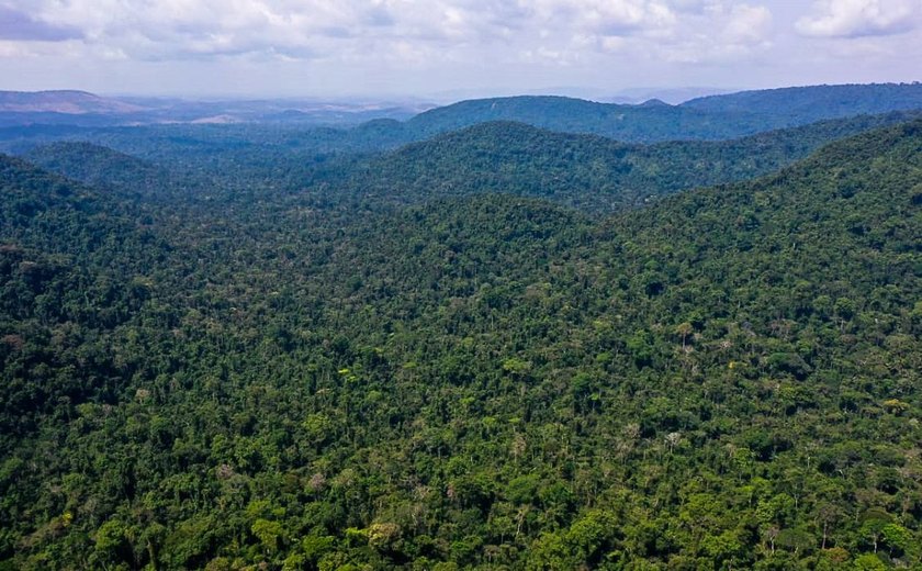 EUA anunciam US$ 500 milhões para Fundo Amazônia em cinco anos