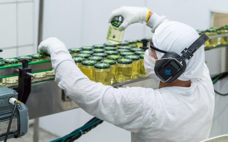 AL comemora prospecção de novos empreendimentos e diversificação da produção