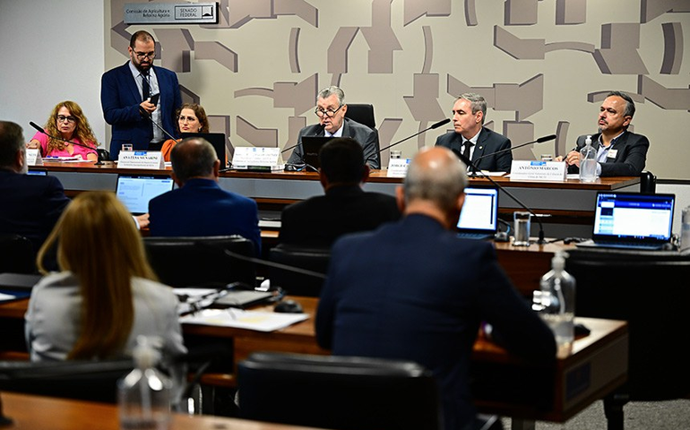 Senadores cobram agilidade na regulamentação do mercado de carbono