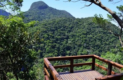 Trilhas, mirantes, história e natureza: conheça o Parque Nacional da Tijuca, no RJ