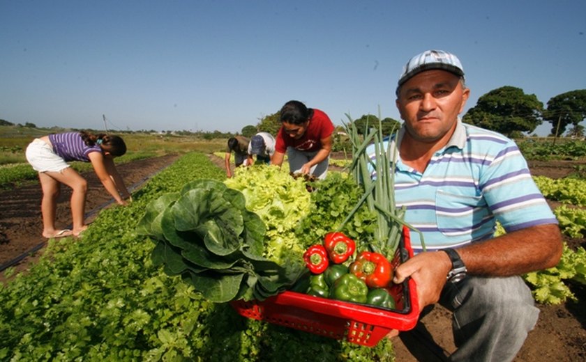 Seagri e Emater anunciam a realização de concursos públicos