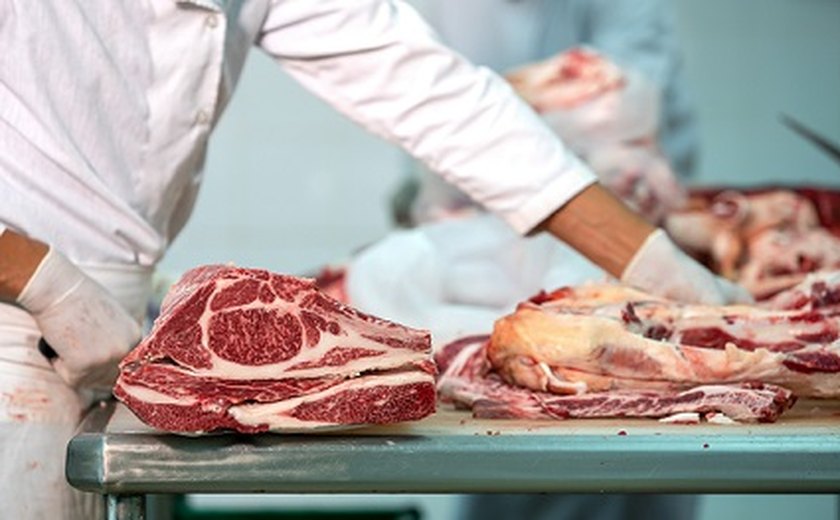 Crédito para produção de carne bovina responde por quase a metade dos financiamentos do BNB