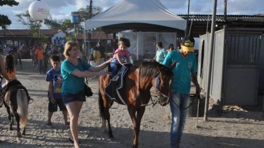 Sucesso da Expoagro demonstra força do setor agropecuário alagoano