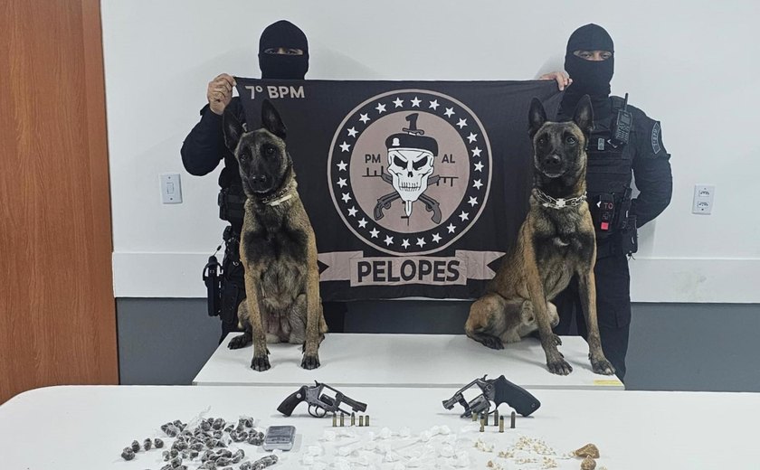 PM apreende armas de fogo e drogas no interior e recupera veículos roubados na capital