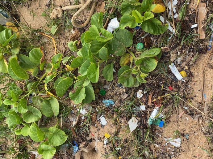 Microplásticos: uma ameaça invisível à saúde e ao meio ambiente