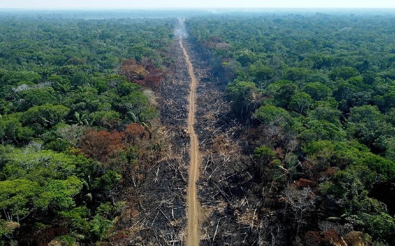 Amazônia/desmatamento: fevereiro tem pior índice de alertas para o mês desde 2015