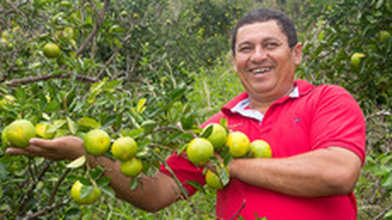 Produtores festejam fortalecimento da Cadeia Produtiva da Laranja Lima