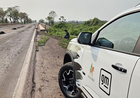 Guardiã do Pantanal: IA é usada para monitorar bioma do espaço à Terra (VÍDEO)
