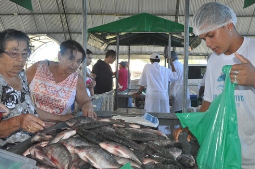 Novo Mercado de Peixe vai atender população de 10 municípios alagoanos