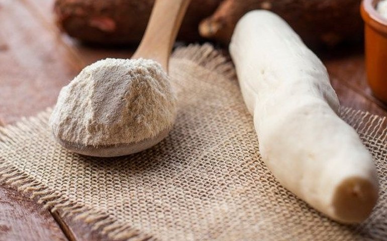 Canadá abre mercado para farelo de mandioca, macadâmia e erva-mate do Brasil