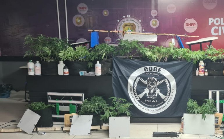 Polícia Civil estoura laboratório usado para cultivo e refinamento de maconha em Maceió
