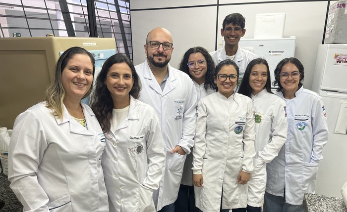 Estudo revelou alterações genéticas importantes nas linhagens do vírus chikungunya