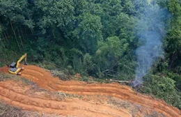 Amazônia registra diminuição de locais sob alerta de desmatamento