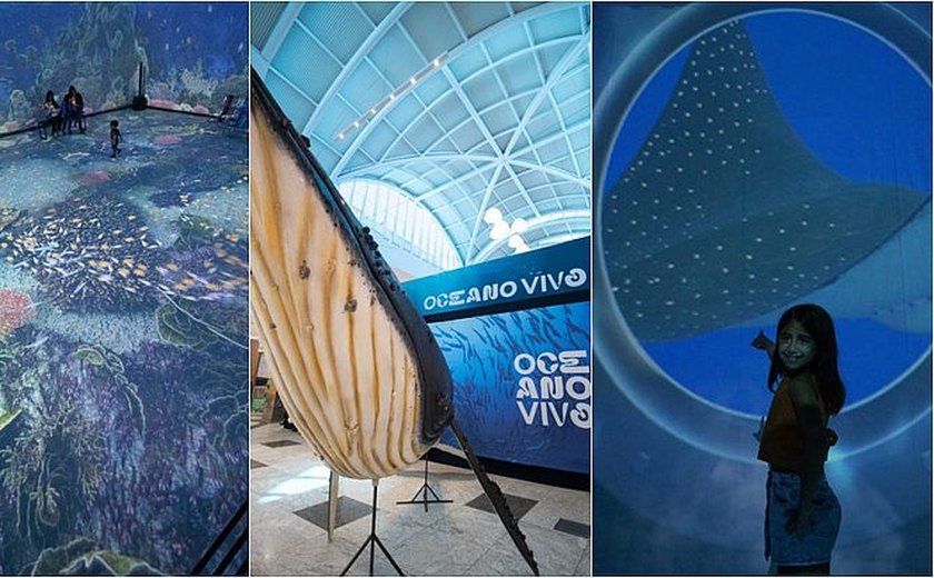 Oceano Vivo: encanto, desejos e mistérios em um espetáculo subaquático imersivo em Maceió