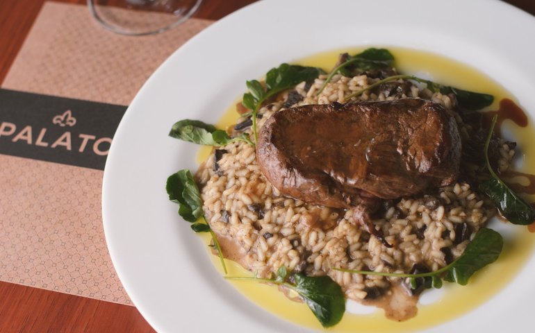 Rótulos e Sabores: vinhos da Adega Palato brilham em noite gastronômica em Maceió