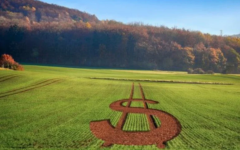 CMN aprova ajuste de normas do Proex e concessão de crédito a cooperativas do Pronaf