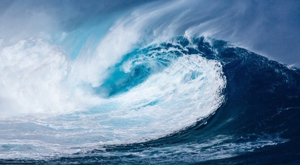 tsunami-14122023151519641