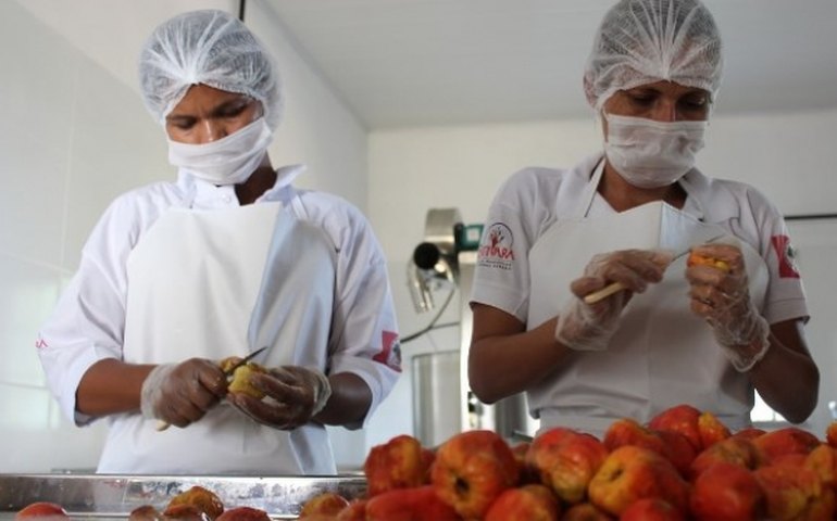 Produtores rurais de Delmiro Gouveia são capacitados pela Desenvolve