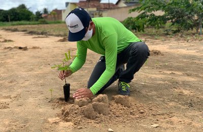 Prefeitura e MVV plantam cerca de 40 mudas na Área Verde de Arapiraca