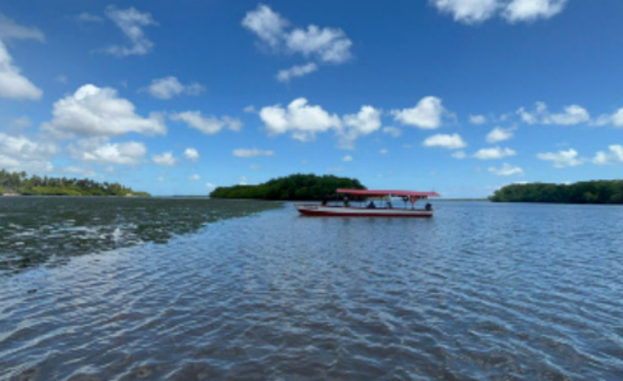 Rio Paraíba, um dos mais importantes de Alagoas
