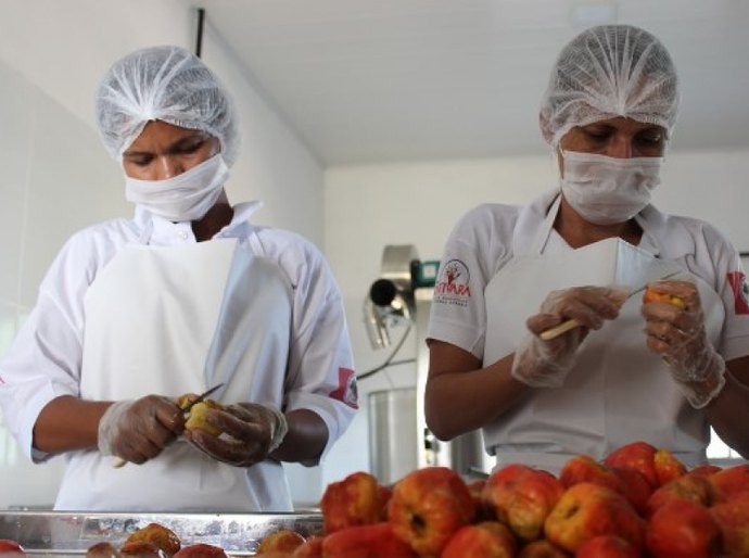 Produtores rurais de Delmiro Gouveia são capacitados pela Desenvolve