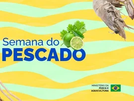 Semana do pescado 2026 prevê ações para ampliar o consumo de pescado