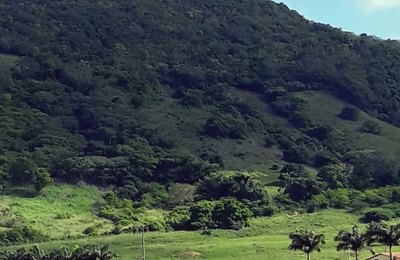 Covid19 avança em Alagoas e atinge praticamente todos os municípios
