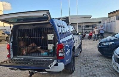 Guarda Municipal apreende drogas em casa de passagem em Maceió