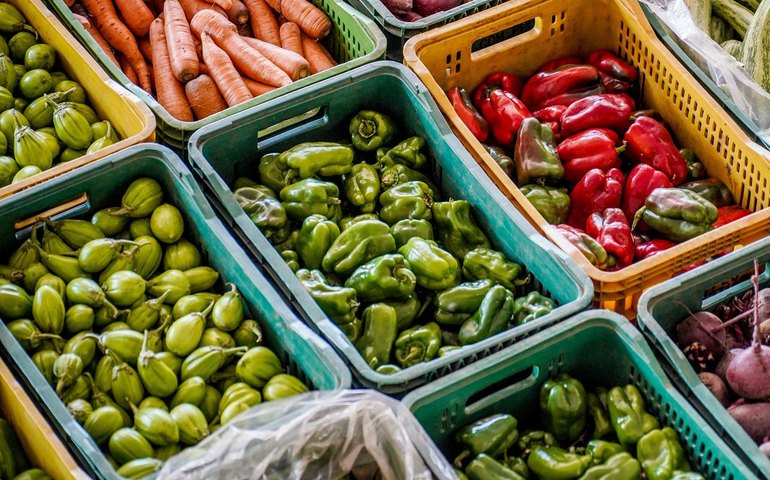 Dieese: Custo da cesta básica cai em 11 das 17 capitais pesquisadas em junho