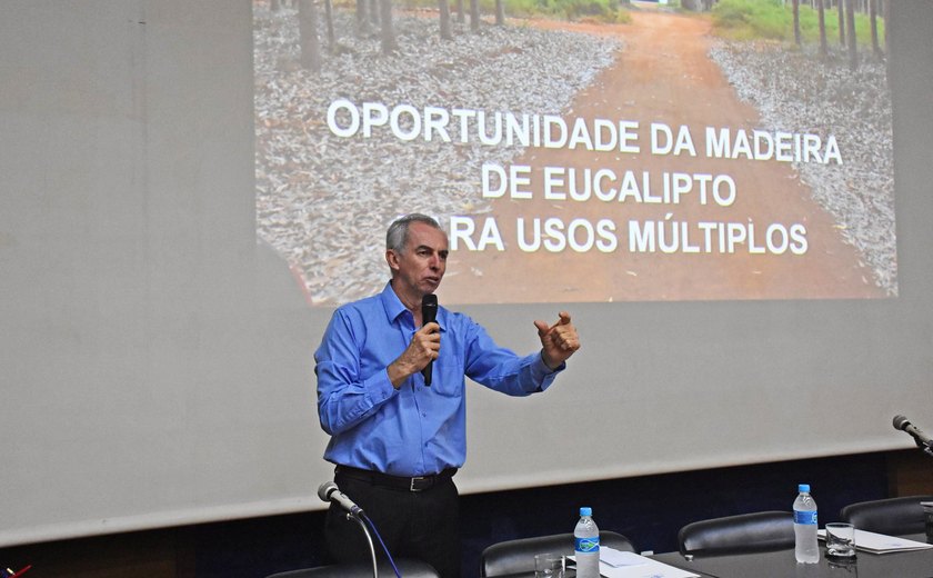 Eucalipto é alternativa para diversificação econômica de Alagoas