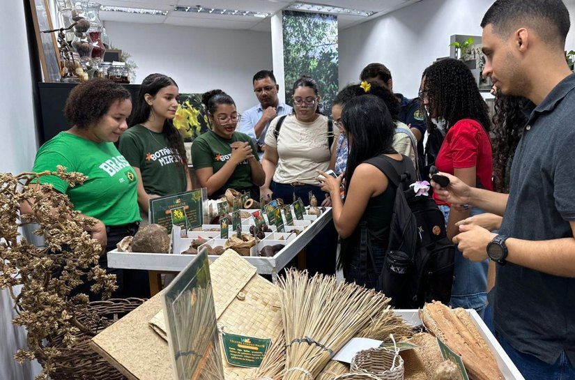 Herbário do IMA encerra programação com destaque para educação científica e representatividade feminina