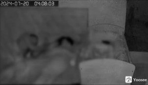VÍDEO: Dupla criminosa invade casa de família adormecida e realiza série de furtos.jpg