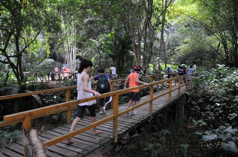 Parque Municipal suspende visitas devido a chuvas pelo menos até sexta